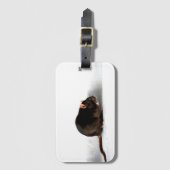 Rat bc ltcna gepäckanhänger (Vorderseite Vertikal)