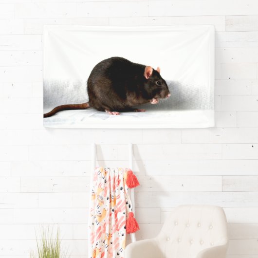 Rat bnrcna banner (Insitu)