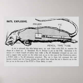 Rat Bomb, Beschreibung des Katalogs der Sondergerä Poster