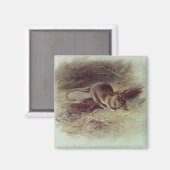Rat Brown 1918 Magnet (Vorderseite/Rückseite)