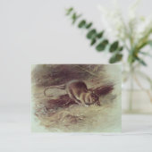 Rat Brown 1918 Postkarte (Stehend Vorderseite)