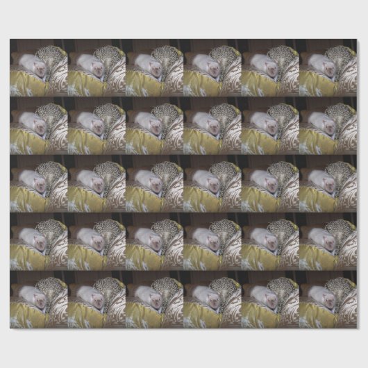 Rat Duncan Wrapping Paper Geschenkpapier (Flach)