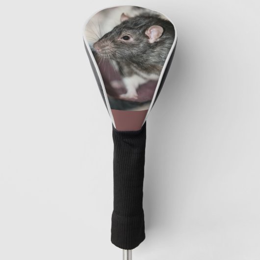 Rat Golf Headcover (Vorderseite)