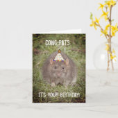 Rat Happy Birthday - Fun Card Karte (Gelbe Blume)