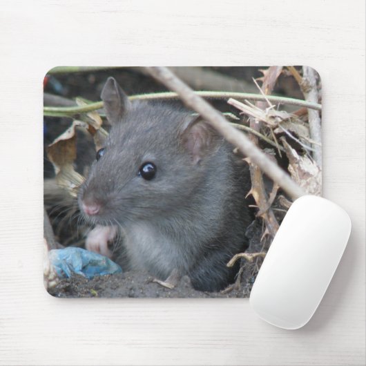 Rat in einem Loch in der Mousepad (Mit Mouse)