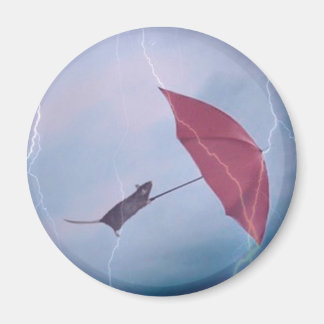 Rat in einem Sturmmagnet Magnet