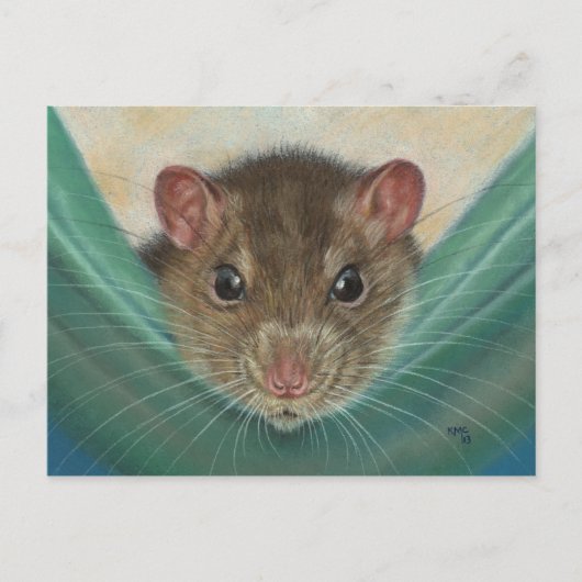 Rat in Hammock Postcard KMCoriginals Postkarte (Vorderseite)