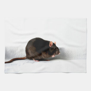 Rat ktcna geschirrtuch