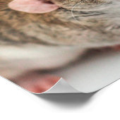 Rat Lover Poster (Ecke)