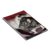 Rat Notizblock (Rechte Seite)