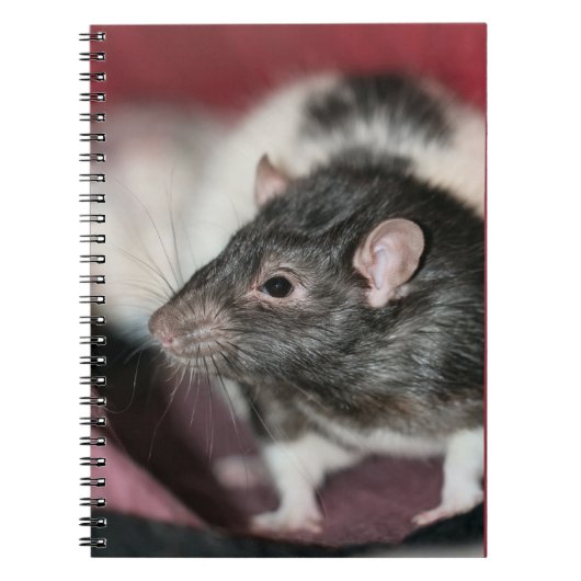 Rat Notizblock (Vorderseite)