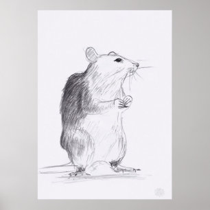 Rat Original Zeichnend 24x36 Poster