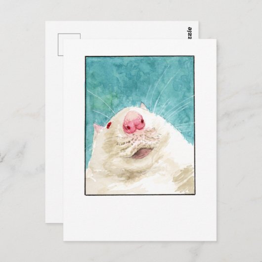Rat Pet Selfie - DNM Postkarten (Vorne/Hinten)