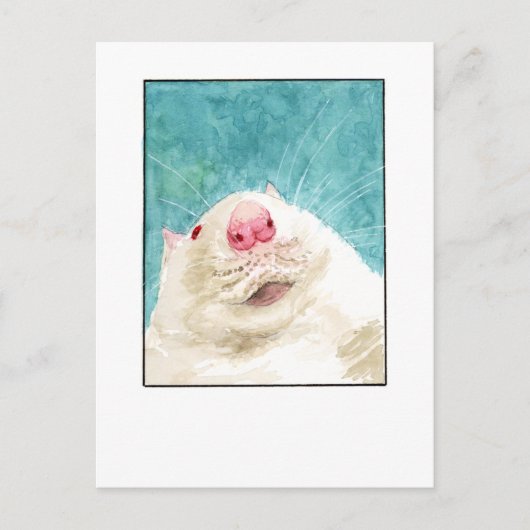 Rat Pet Selfie - DNM Postkarten (Vorderseite)