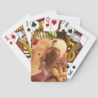 Rat playing cards spielkarten
