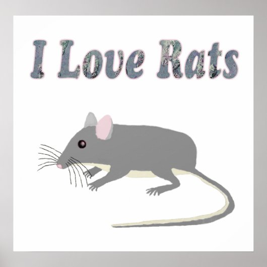 Rat Poster (Vorne)