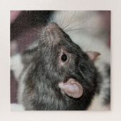 Rat Puzzle (Horizontal)