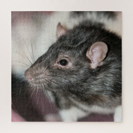 Rat Puzzle (Vertikal)