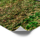 Rat Rod Poster (Ecke)