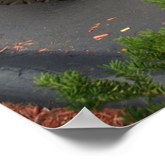 Rat Rod Poster (Ecke)