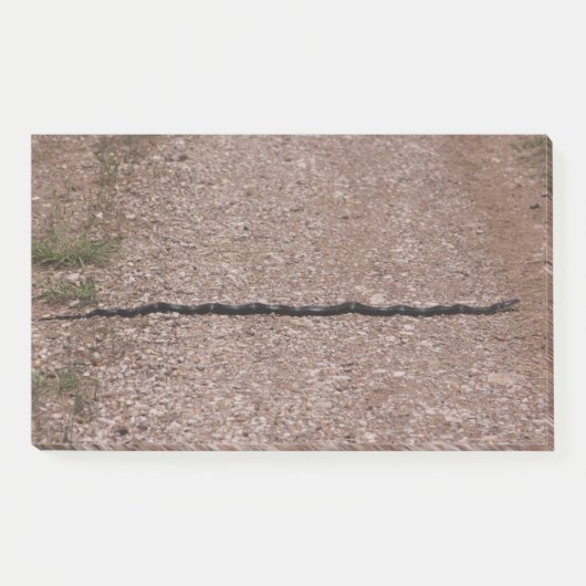 Rat Snake Post-it Klebezettel (Vorderseite)