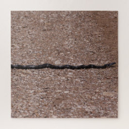 Rat Snake Puzzle
