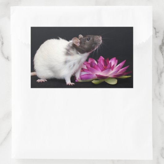 Rat Stickers (Tasche)