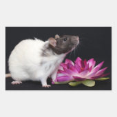 Rat Stickers (Vorderseite)