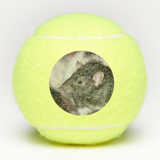 Rat Tennisbälle (Vorderseite)