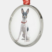 Rat Terrier (A) Ornament Aus Metall (Links)