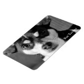 Rat Terrier, Black & White Magnet (Linke Seite)
