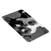 Rat Terrier, Black & White Magnet (Rechte Seite)
