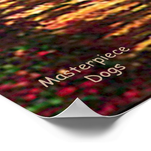 Rat Terrier - Der Weg Poster (Ecke)