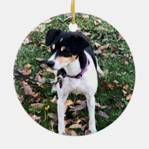 RAT TERRIER DOG CHRISTMAS ORNANATION KERAMIK ORNAMENT