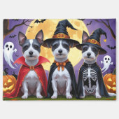 Rat Terrier Dogs Pumpkin Halloween Funny Magnet (Vorderseite)
