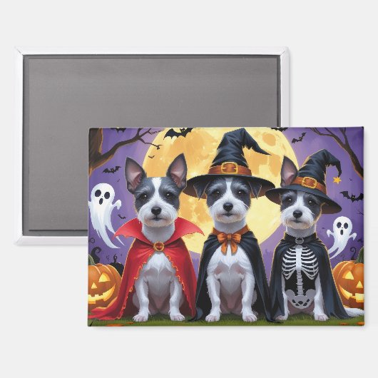 Rat Terrier Dogs Pumpkin Halloween Funny Magnet (Vorderseite/Rückseite)