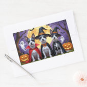 Rat Terrier Dogs Pumpkin Halloween Funny Rechteckiger Aufkleber (Umschlag)