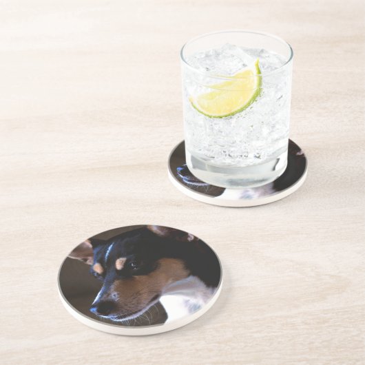 Rat Terrier Getränkeuntersetzer (Seite)