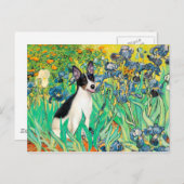 Rat Terrier — Ire Postkarte (Vorne/Hinten)