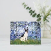 Rat Terrier - Lilies 6 Postkarte (Stehend Vorderseite)