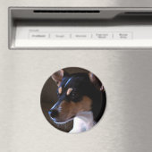 Rat Terrier Magnet 2, Farbe, rund 3 Zoll (In Situ (Geschirrspüler))