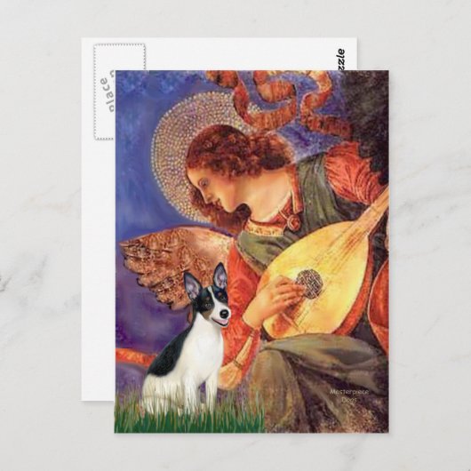 Rat Terrier - Mandolin Angel Postkarte (Vorne/Hinten)
