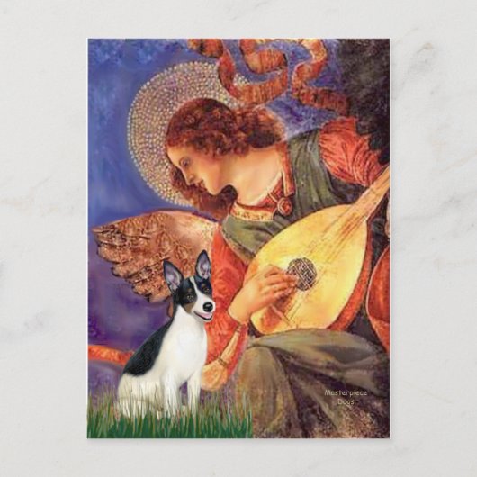 Rat Terrier - Mandolin Engel Postkarte (Vorderseite)