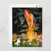 Rat Terrier - MidEve Postkarte (Vorne/Hinten)