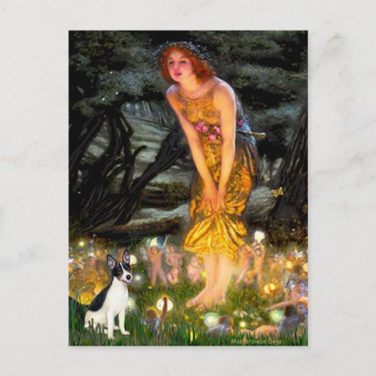 Rat Terrier - MidEve Postkarte (Vorderseite)