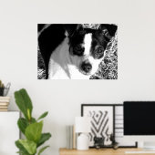 Rat Terrier Poster (Heimbüro)