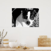 Rat Terrier Poster (Küche)