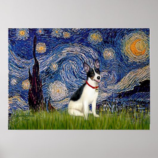 Rat Terrier - Starry Night Poster (Vorne)