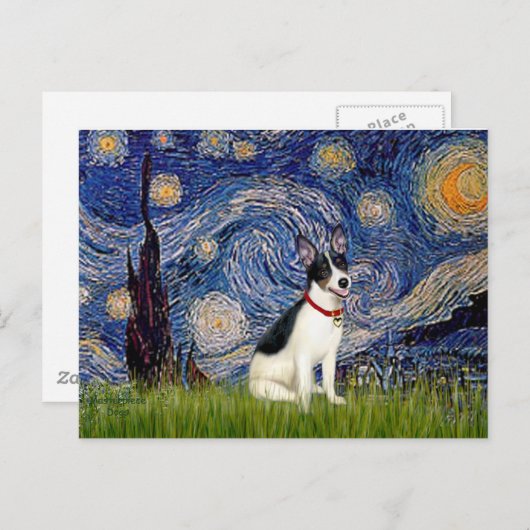 Rat Terrier - Starry Night Postkarte (Vorne/Hinten)