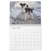 Rat-Terrier-Wandkalender 2027 Kalender (Jan 2027)